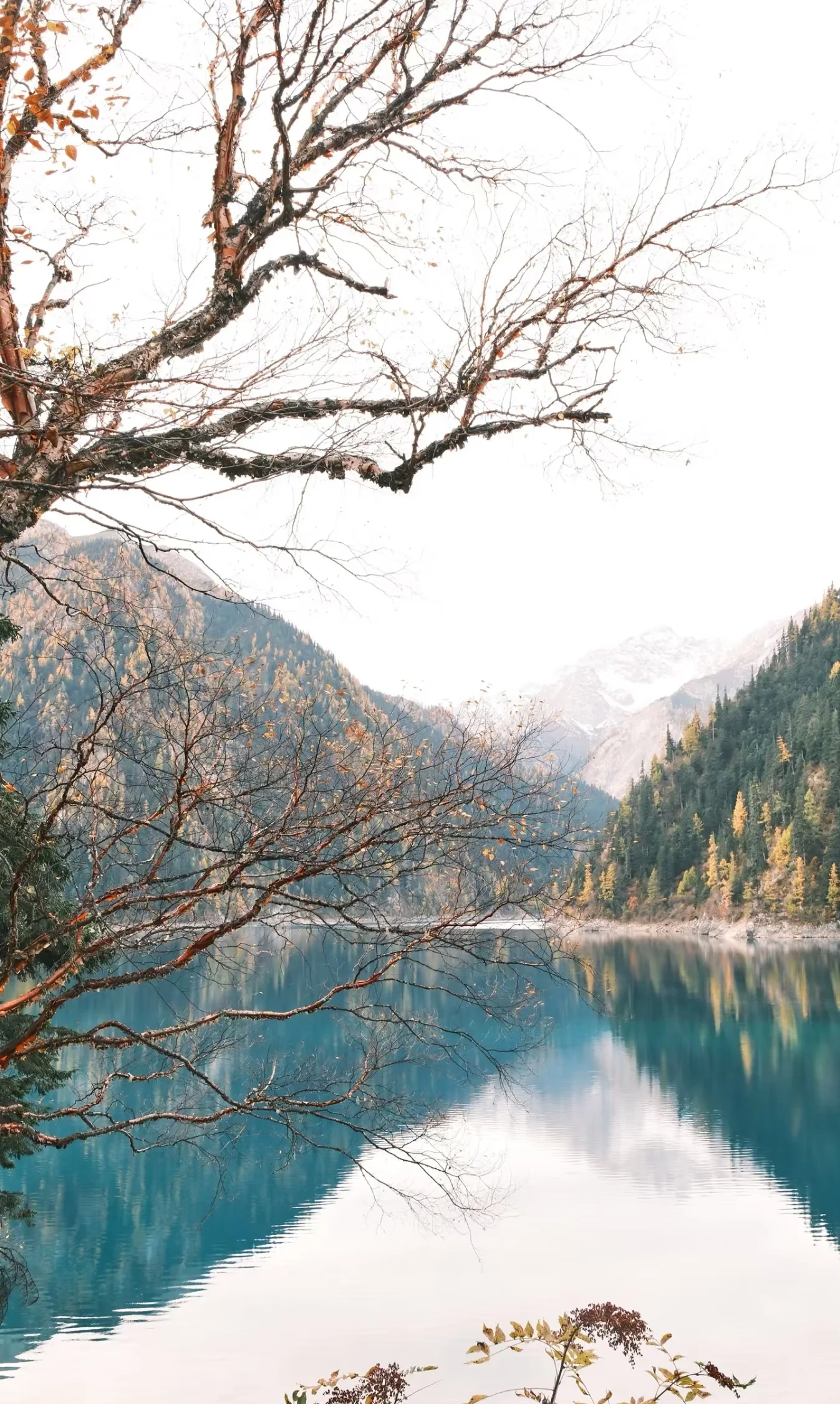 Jiuzhaigou colorful valley landscape