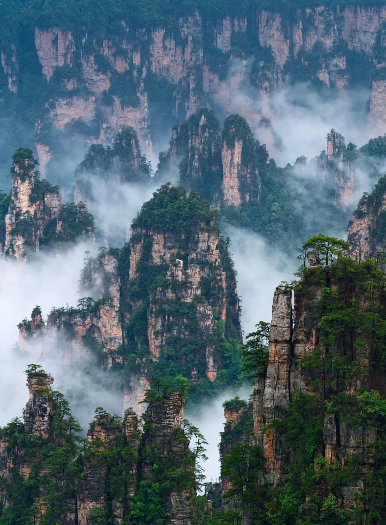 Zhangjiajie dramatic landscape